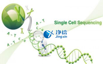 中國人自己的微流控單細胞測序儀來了！_微流控Drop-seq,微流控技術(shù)